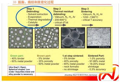 精品国产午夜肉伦伦影院
